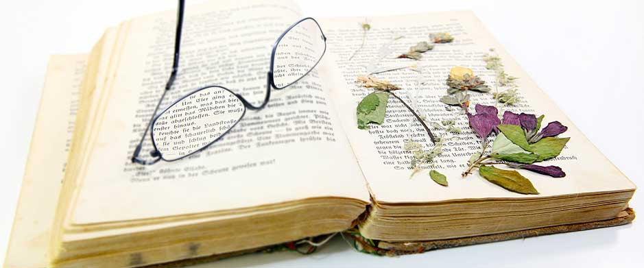 Buch mit Brille und Blumen